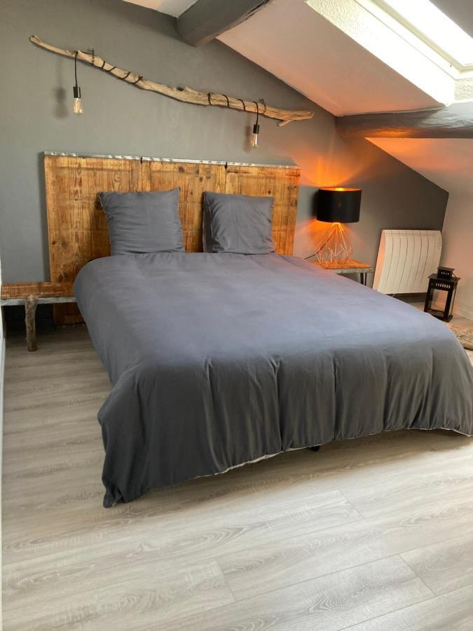 Grande Terrasse Clim Parking Prive Smart Tv, Local Velos Антрег-сюр-ла-Сорг Экстерьер фото